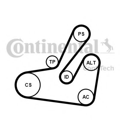 Set curea transmisie cu caneluri RENAULT MASTER II caroserie (FD) (1998 - 2010) CONTITECH 6PK1795K2 piesa NOUA