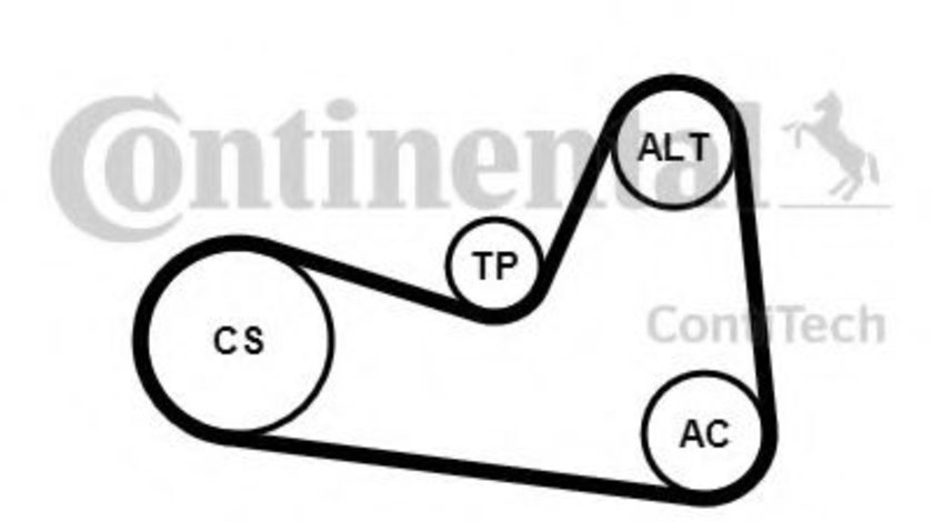 Set curea transmisie cu caneluri RENAULT MEGANE II Limuzina (LM0/1) (2003 - 2016) CONTITECH 6PK1200K1 piesa NOUA