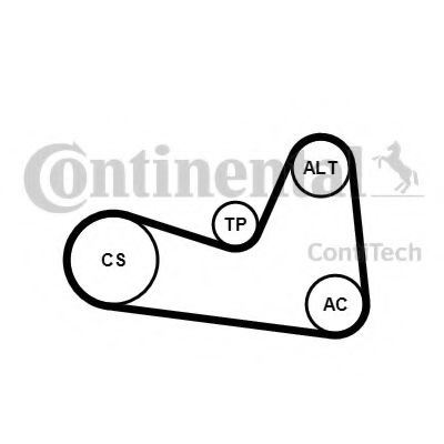 Set curea transmisie cu caneluri RENAULT MODUS / GRAND MODUS (F/JP0) (2004 - 2016) CONTITECH 6PK1200K1 piesa NOUA