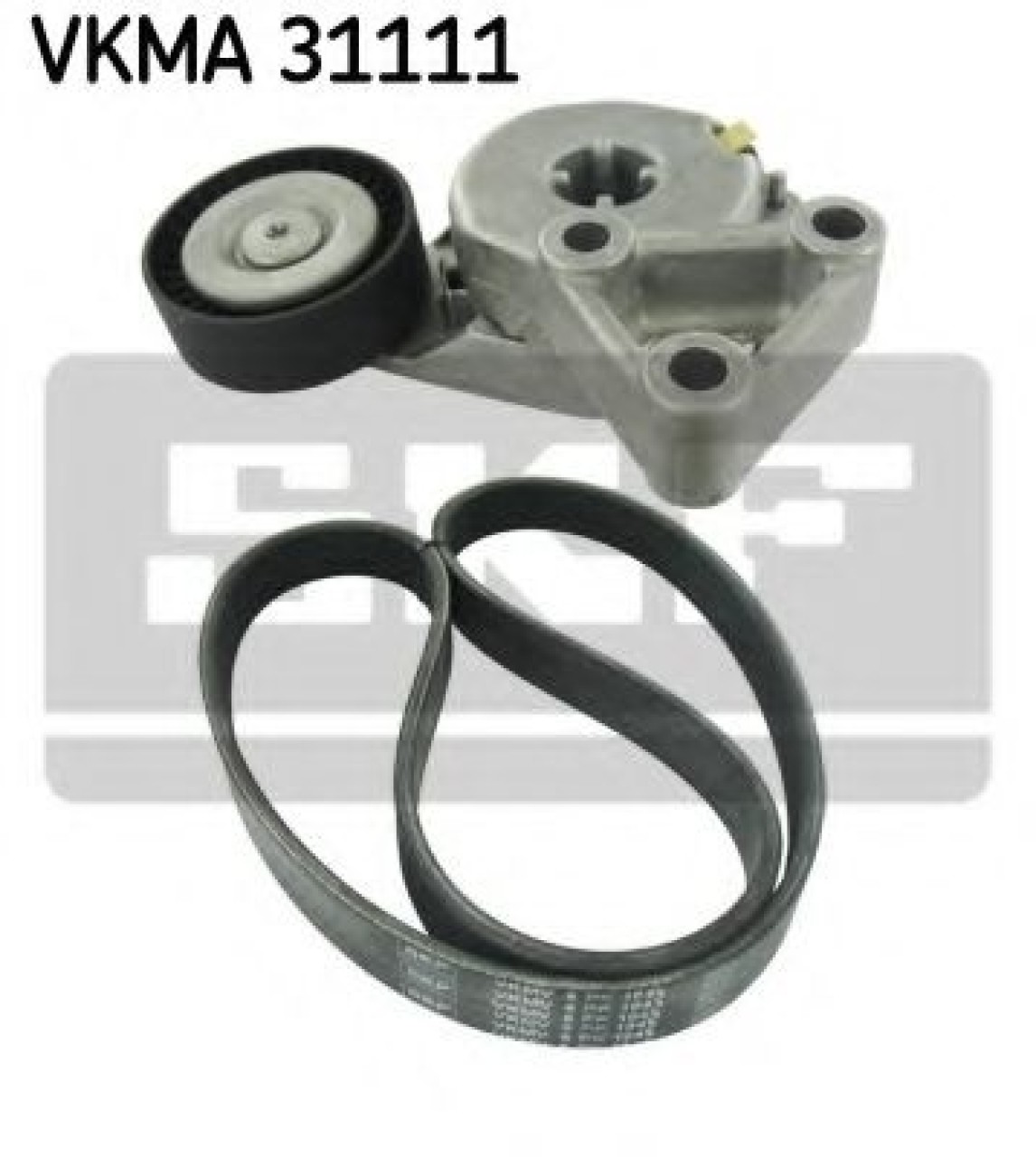 Set curea transmisie cu caneluri SEAT ALTEA XL (5P5, 5P8) (2006 - 2016) SKF VKMA 31111 piesa NOUA