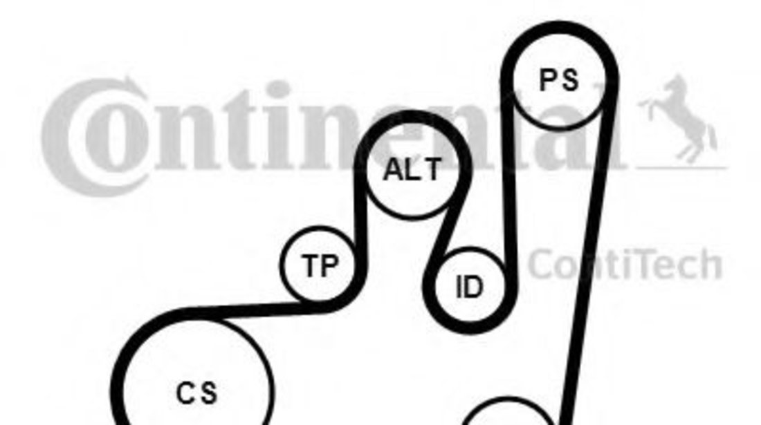 Set curea transmisie cu caneluri SEAT CORDOBA (6K2) (1999 - 2002) CONTITECH 6PK1145K1 piesa NOUA