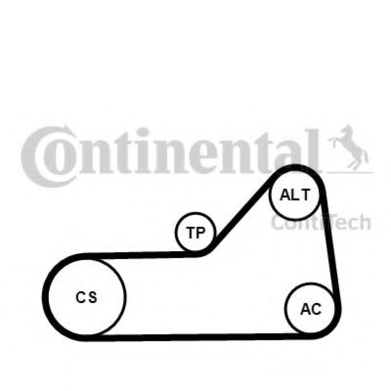 Set curea transmisie cu caneluri SEAT INCA (6K9) (1995 - 2003) CONTITECH 6PK1153K1 piesa NOUA