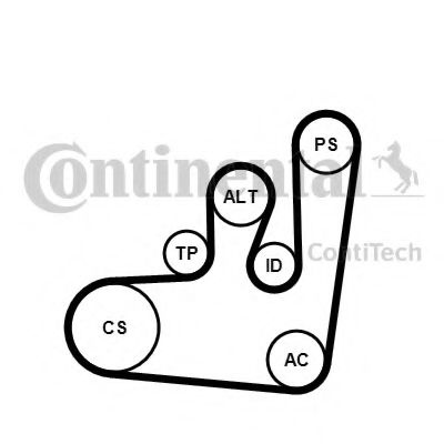 Set curea transmisie cu caneluri SEAT TOLEDO I (1L) (1991 - 1999) CONTITECH 6PK1145K1 piesa NOUA