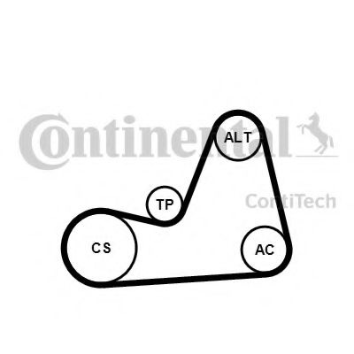 Set curea transmisie cu caneluri SEAT TOLEDO III (5P2) (2004 - 2009) CONTITECH 6PK1100K1 piesa NOUA