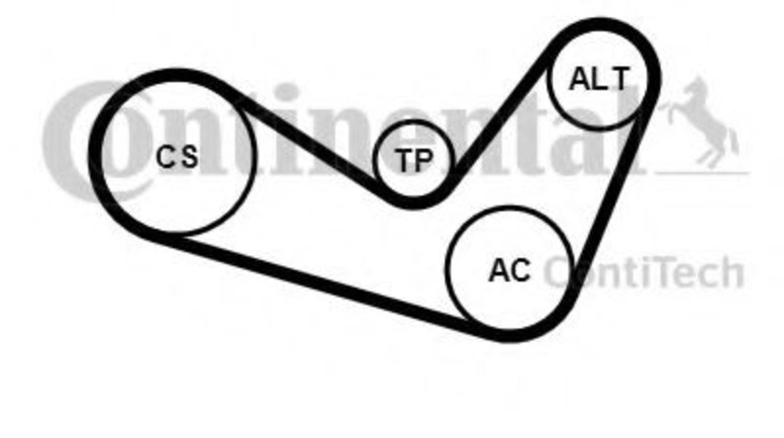 Set curea transmisie cu caneluri SKODA OCTAVIA II (1Z3) (2004 - 2013) CONTITECH 6PK1050K2 piesa NOUA