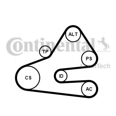 Set curea transmisie cu caneluri VW CRAFTER 30-35 bus (2E) (2006 - 2016) CONTITECH 6PK1613K1 piesa NOUA