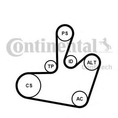 Set curea transmisie cu caneluri VW GOLF IV (1J1) (1997 - 2005) CONTITECH 6PK1548K1 piesa NOUA