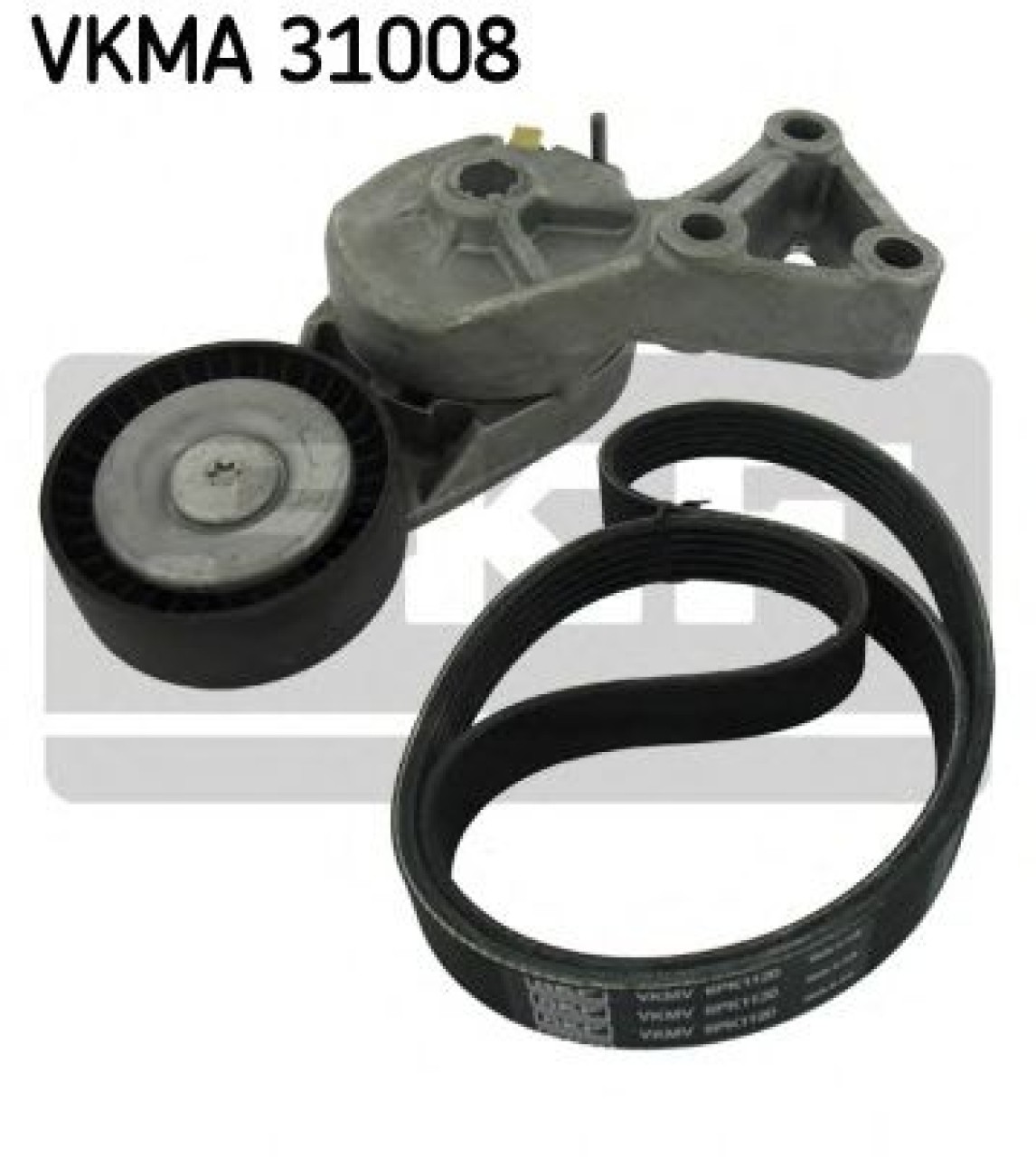 Set curea transmisie cu caneluri VW MULTIVAN V (7HM, 7HN, 7HF, 7EF, 7EM, 7EN) (2003 - 2015) SKF VKMA 31008 piesa NOUA