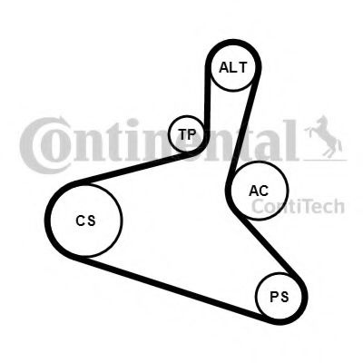 Set curea transmisie cu caneluri VW SHARAN (7M8, 7M9, 7M6) (1995 - 2010) CONTITECH 6DPK1195K1 piesa NOUA