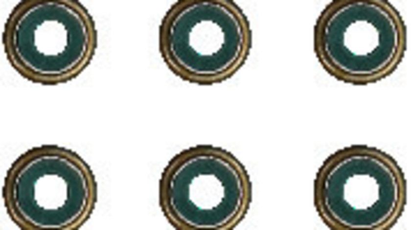 Set garnituri, ax supape (121771901 REI) SUZUKI,SUZUKI (CHANGAN)