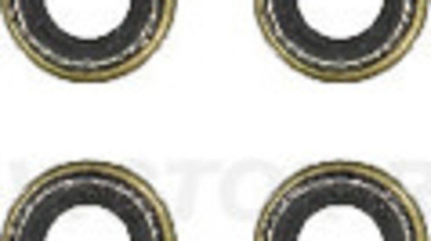 Set garnituri, ax supape (122129101 REI) PORSCHE