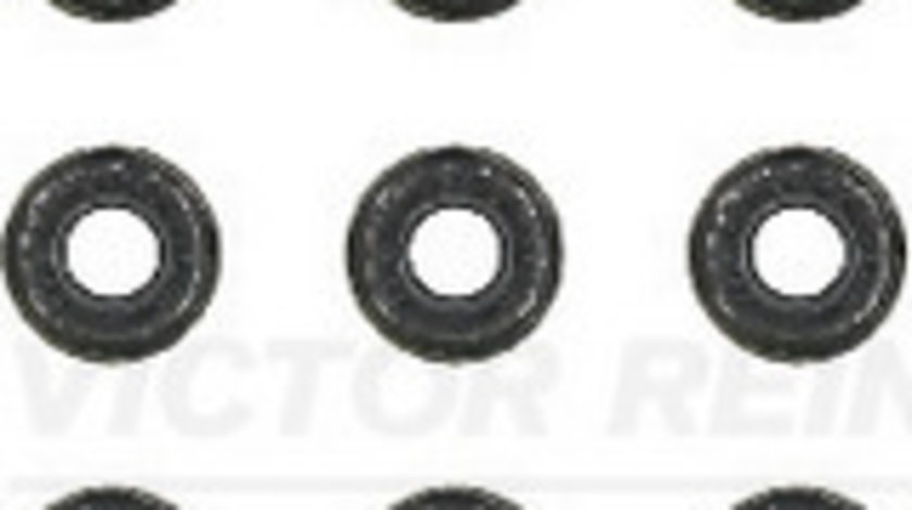 Set garnituri, ax supape (123130603 REI) AUDI,AUDI (FAW),MERCEDES-BENZ,SEAT,SKODA,VOLVO,VW,VW (FAW),VW (SVW)