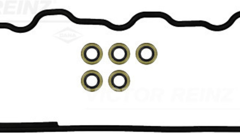 Set garnituri, Capac supape (153617201 REI) FAP,MERCEDES-BENZ