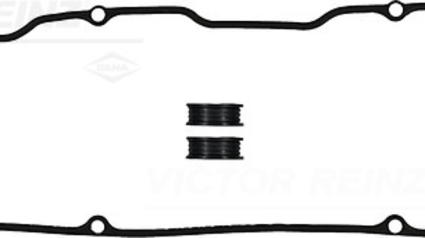 Set garnituri, Capac supape (155275302 REI) FORD,NISSAN