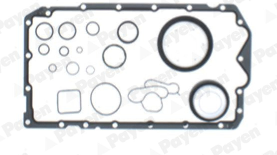 Set garnituri, carter (EC5440 PAYEN) BMW