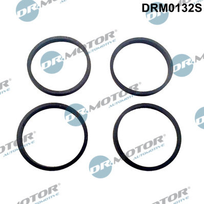 Set garnituri, galerie admisie (DRM0132S DRM) AUDI,SEAT,SKODA,VW