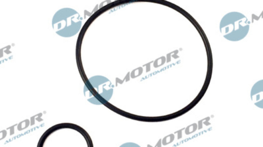 Set garnituri, galerie admisie (DRM116 DRM) Citroen,FIAT,PEUGEOT