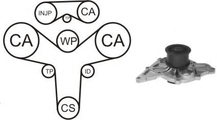 Set pompa apa + curea dintata AUDI A4 Avant (8D5, B5) (1994 - 2001) AIRTEX WPK-159601 piesa NOUA