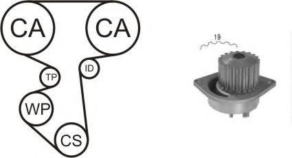 Set pompa apa + curea dintata CITROEN C2 (JM) (2003 - 2016) AIRTEX WPK-160001 piesa NOUA