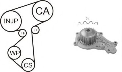 Set pompa apa + curea dintata CITROEN XSARA (N1) (1997 - 2005) AIRTEX WPK-167301 piesa NOUA