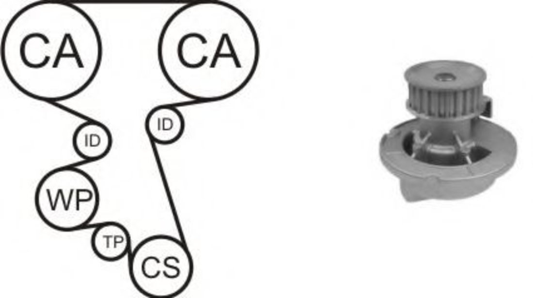 Set pompa apa + curea dintata OPEL ASTRA G Cabriolet (F67) (2001 - 2005) AIRTEX WPK-164203 piesa NOUA