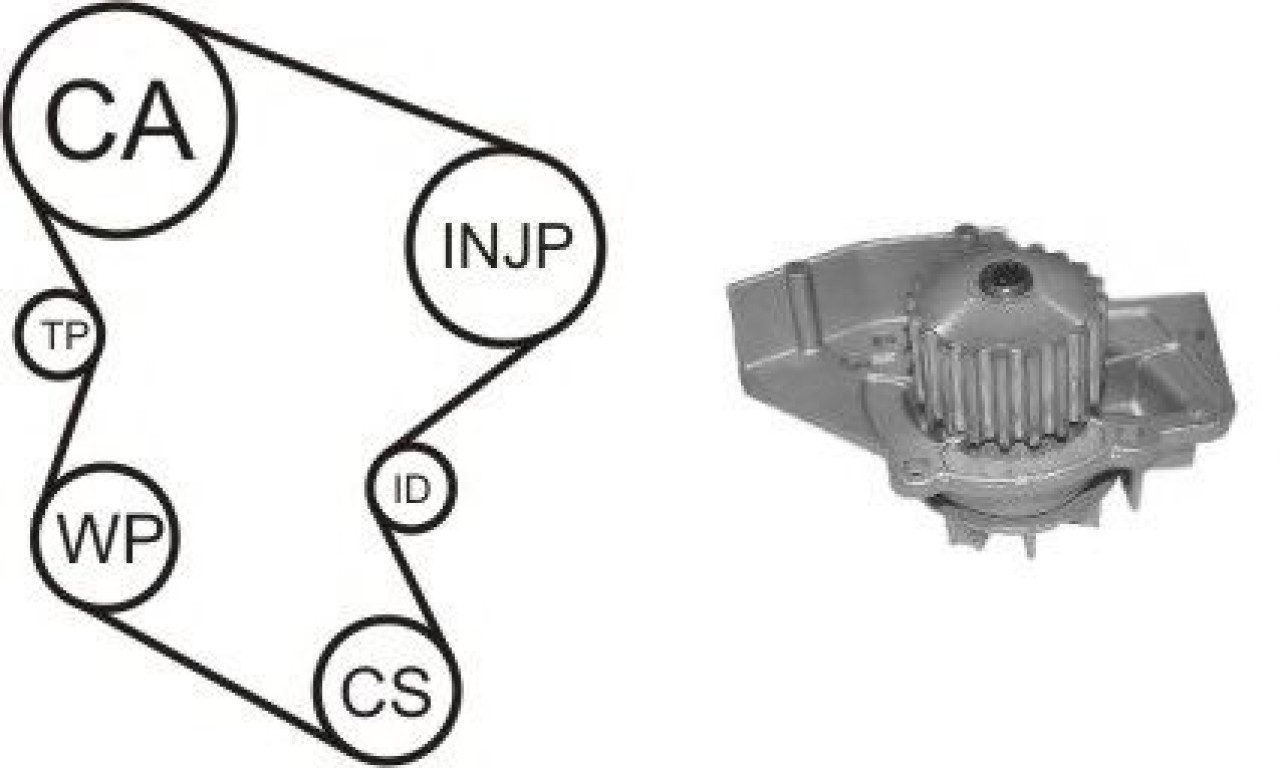 Set pompa apa + curea dintata PEUGEOT 406 Estate (8E/F) (1996 - 2004) AIRTEX WPK-1580R02 piesa NOUA