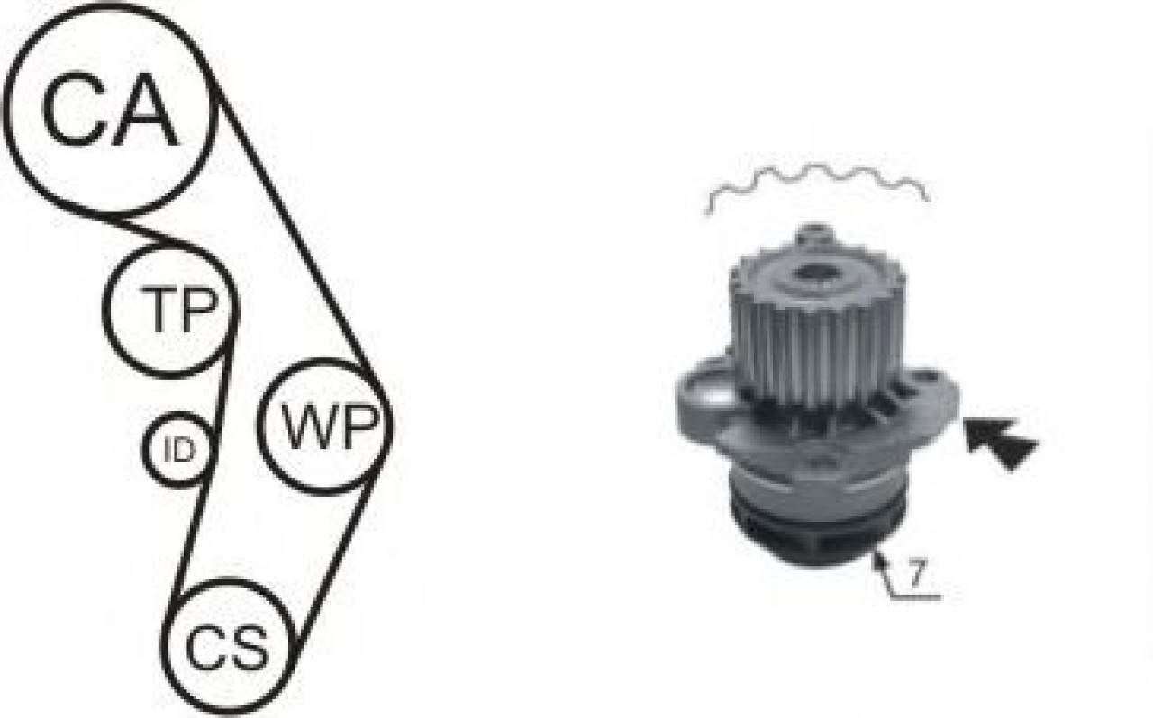 Set pompa apa + curea dintata SEAT ALHAMBRA (7V8, 7V9) (1996 - 2010) AIRTEX WPK-177405 piesa NOUA