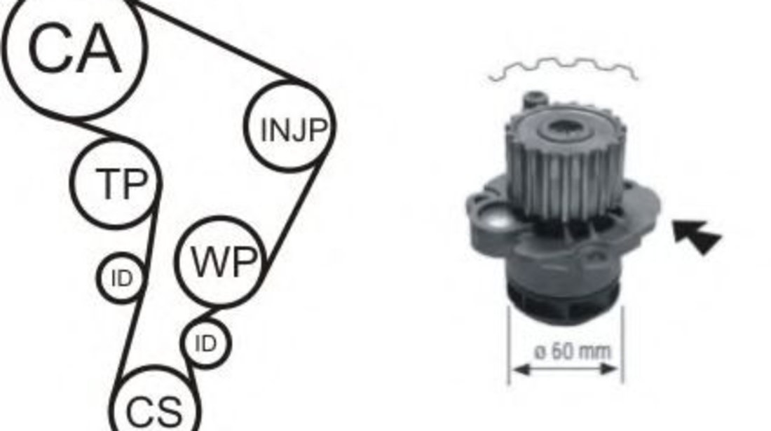 Set pompa apa + curea dintata SEAT CORDOBA (6L2) (2002 - 2009) AIRTEX WPK-177701 piesa NOUA