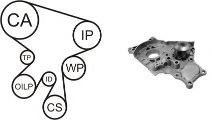 Set pompa apa + curea dintata TOYOTA COROLLA (CDE12, ZZE12, NDE12, ZDE12) (2001 - 2007) AIRTEX WPK-169901 piesa NOUA