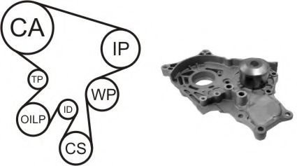 Set pompa apa + curea dintata TOYOTA COROLLA Verso (ZER, ZZE12, R1) (2004 - 2009) AIRTEX WPK-169701 ...