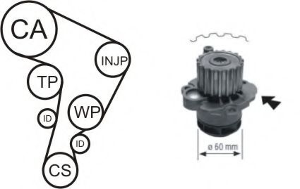 Set pompa apa + curea dintata VW POLO (9N) (2001 - 2012) AIRTEX WPK-177701 piesa NOUA