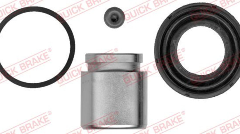 Set reparatie, etrier puntea spate (1145105 QBK) INFINITI,NISSAN,RENAULT,SUZUKI