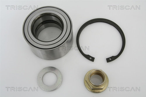 Set Rulment Roata Triscan Nissan 8530 10136