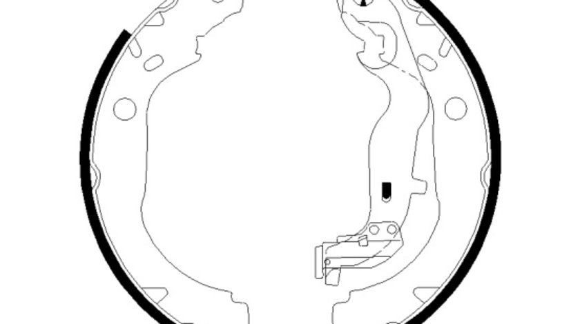 Set saboti frana puntea spate (91082900 TEXTAR) DACIA,RENAULT