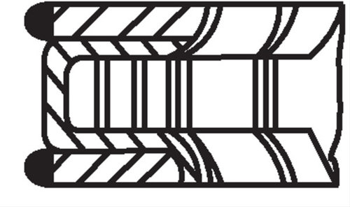 Set Segmenti Piston Mahle Original Daf 205 29 N0