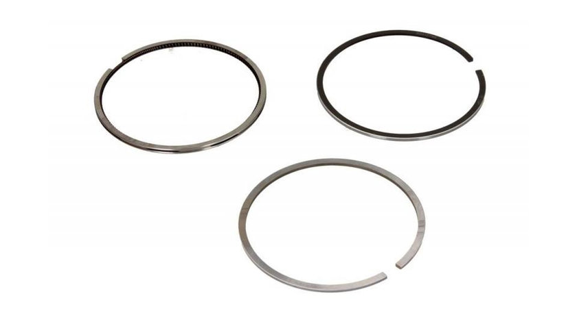 Set segmenti piston Volvo 740 (744) 1983-1992 #2 02954N2