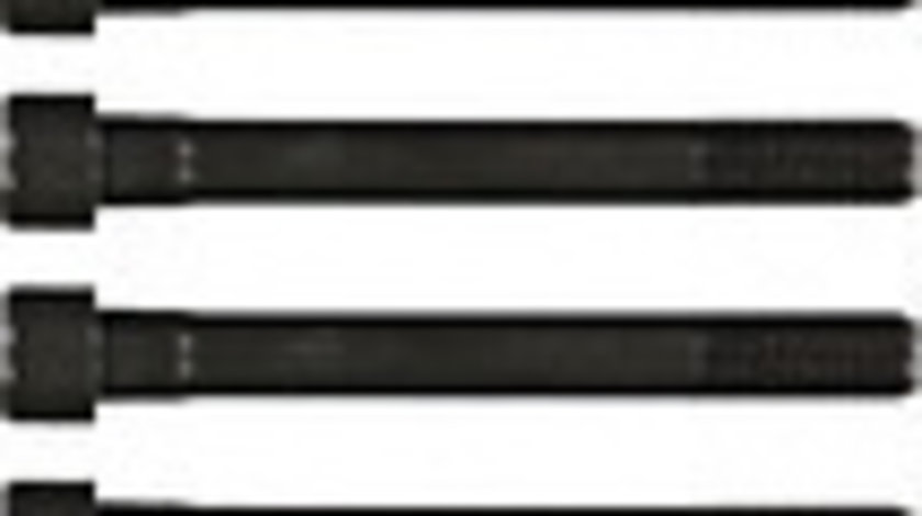 Set surub, chiulasa (145501501 REI) HYUNDAI,KIA,MITSUBISHI