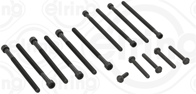 Set Surub Chiulasa Elring Bmw 426.890