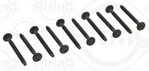 Set Surub Chiulasa Elring Renault 481.900