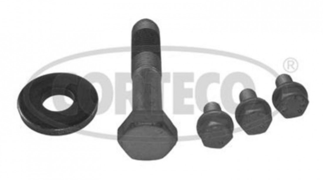 Set surub, disc curea-arbore cotit Citroen XSARA cupe (N0) 1998-2005 #2 80004882