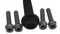 Set surub, disc curea-arbore cotit VW GOLF IV Vari...