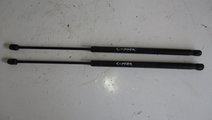 SET TELESCOAPE / AMORTIZOARE HAION FORD FOCUS C-MA...