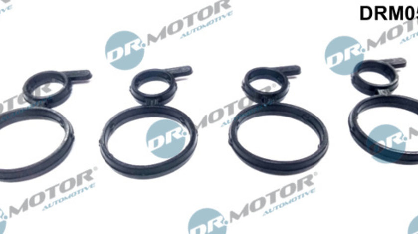 Simering, ax cu came (DRM0581S DRM) BMW