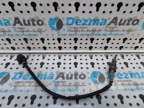 Sonda temperatura gaze, Bmw X5 (E70), 2007-2014, (id.162679)