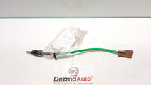 Sonda temperatura gaze, Nissan Qashqai [Fabr 2007-...