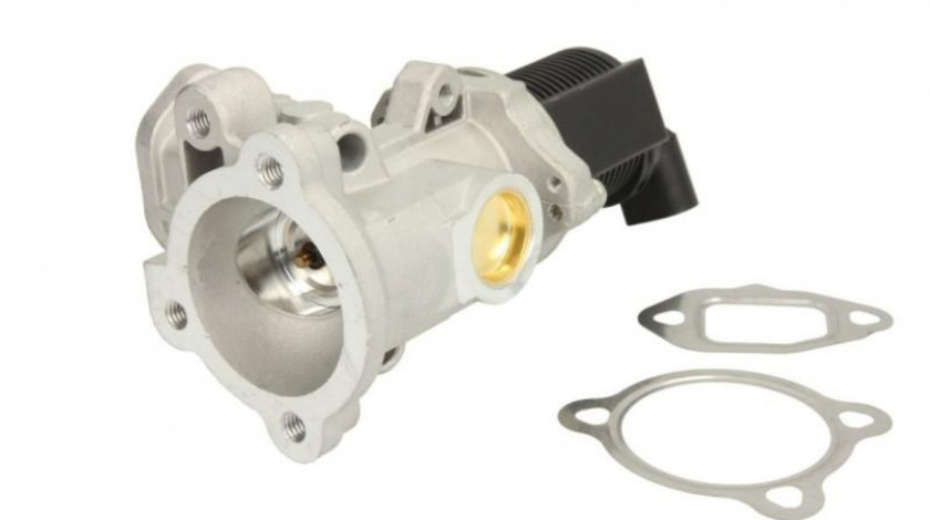 Supapa egr Fiat DOBLO Cargo (223) 2000- #2 458030