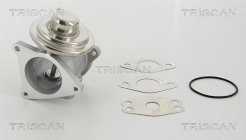 Supapa Egr Triscan Vw 8813 29111