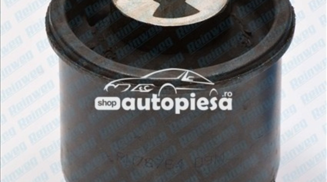 Suport, ax AUDI TT Roadster (8N9) (1999 - 2006) REINWEG RW78764 piesa NOUA
