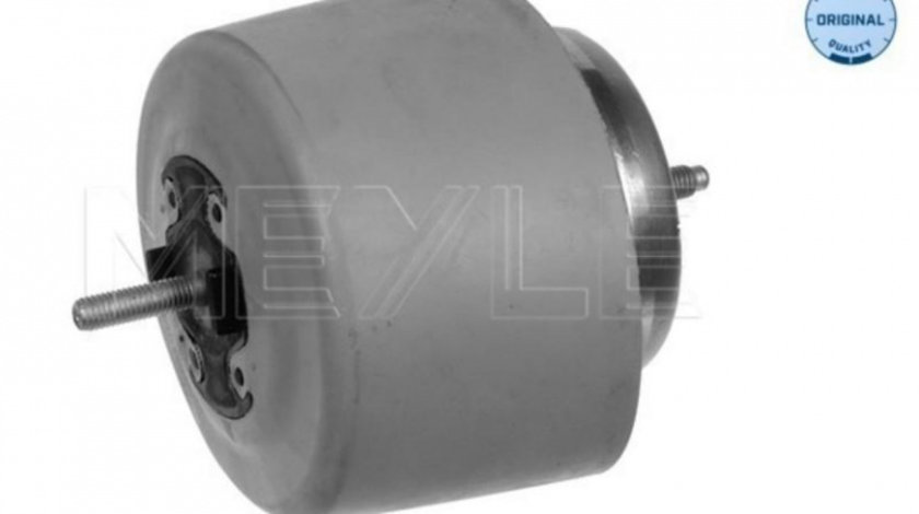 Suport motor Audi AUDI A4 Avant (8E5, B6) 2001-2004 #2 1001990083