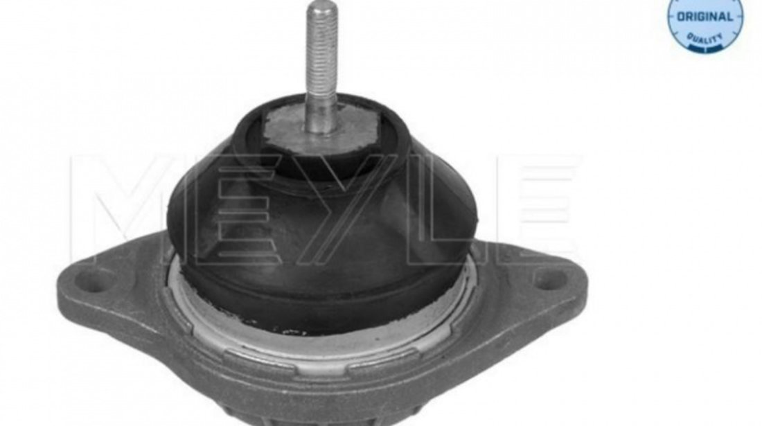 Suport motor Audi AUDI A6 Avant (4A, C4) 1994-1997 #2 0720006